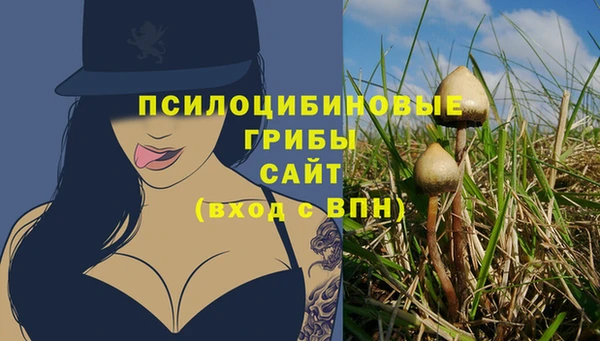стаф Нижневартовск