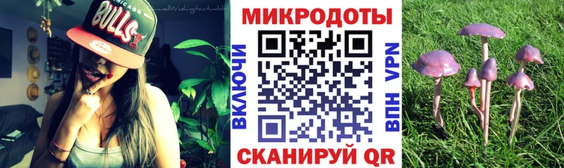 купить наркотики сайты  Урюпинск  Псилоцибиновые грибы мухоморы 