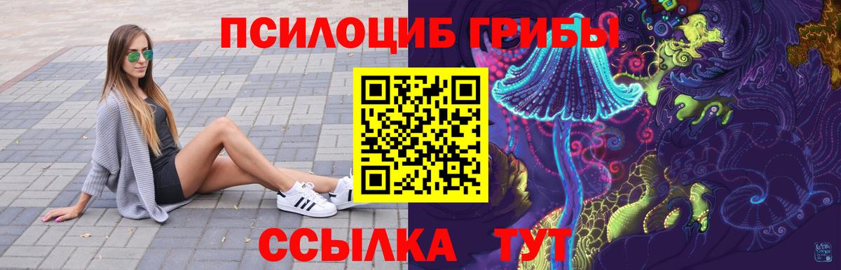 Галлюциногенные грибы Cubensis Урюпинск