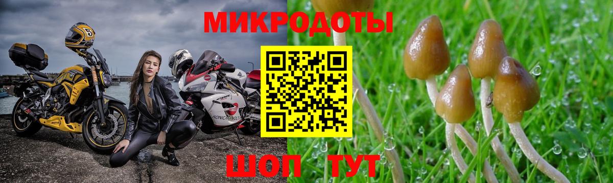 Урюпинск  Псилоцибиновые грибы мицелий  Вход с VPN 